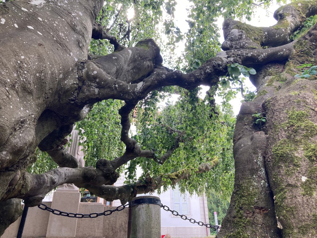 Poèmes et textes&nbsp;4